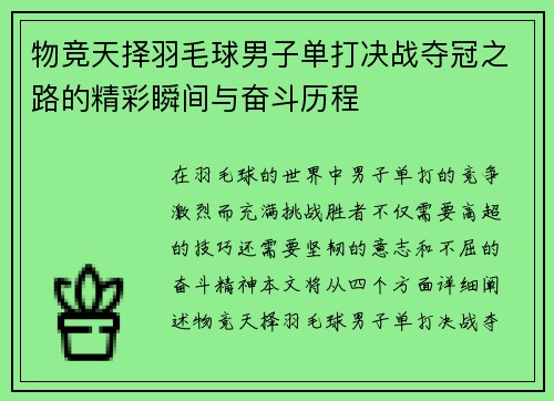 物竞天择羽毛球男子单打决战夺冠之路的精彩瞬间与奋斗历程