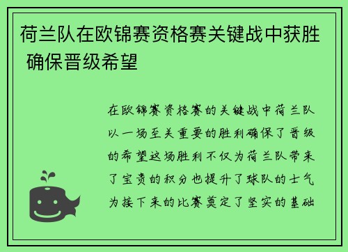 荷兰队在欧锦赛资格赛关键战中获胜 确保晋级希望