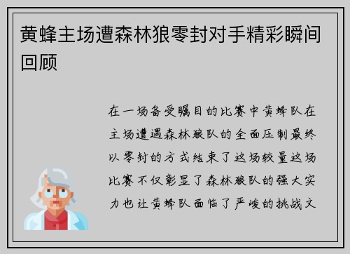 黄蜂主场遭森林狼零封对手精彩瞬间回顾