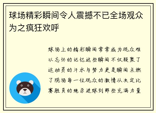 球场精彩瞬间令人震撼不已全场观众为之疯狂欢呼